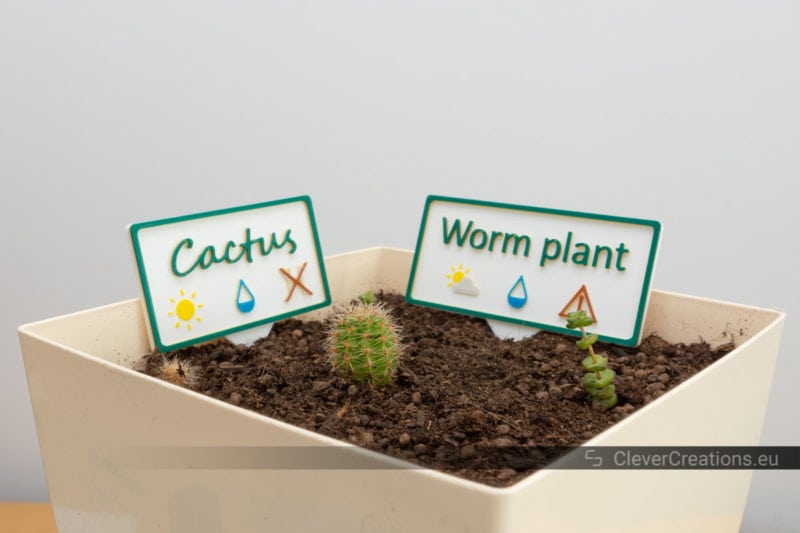 Close-up of two cacti and two worm plants in a pot next to 3D printed garden markers.