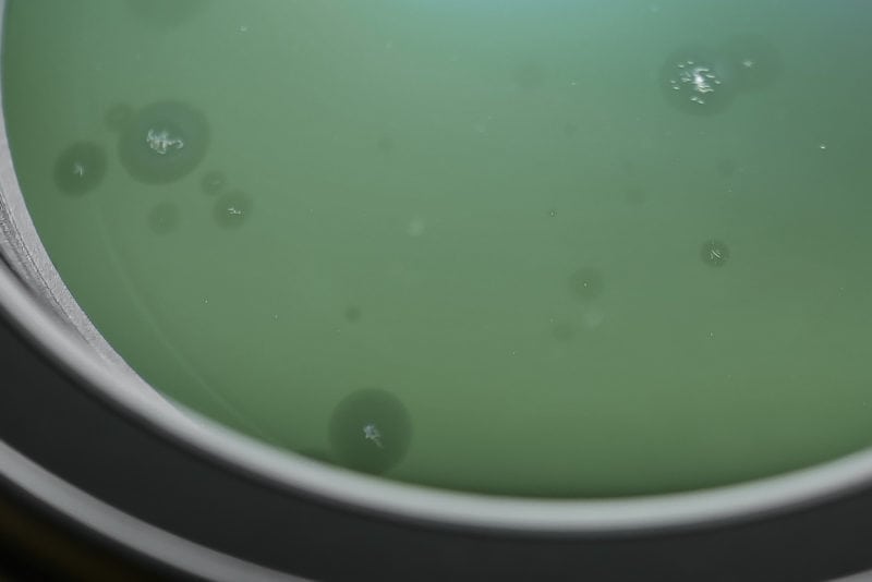 A close-up of mold spots on a camera lens.