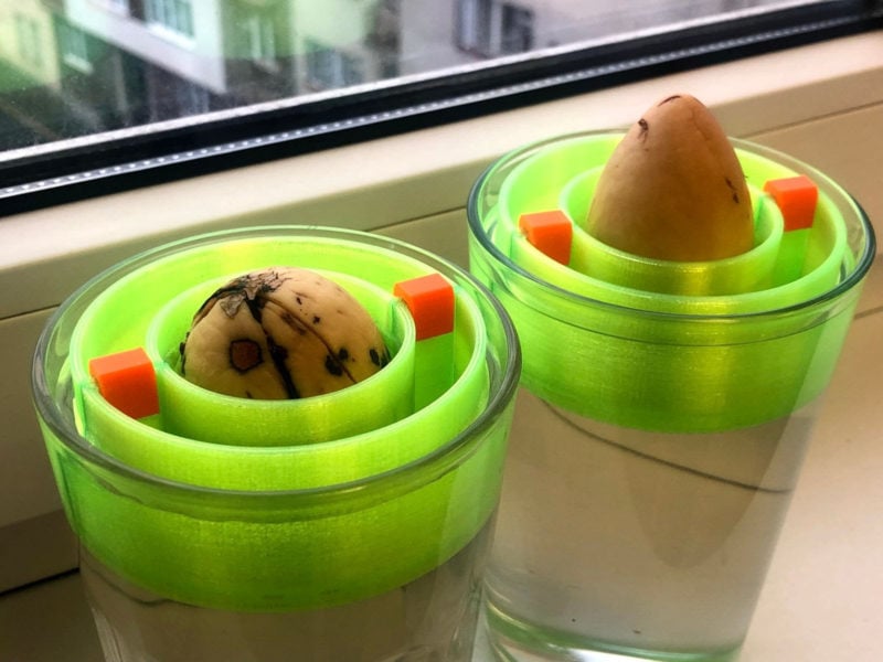 A set of 3D printed avocado seed floaters