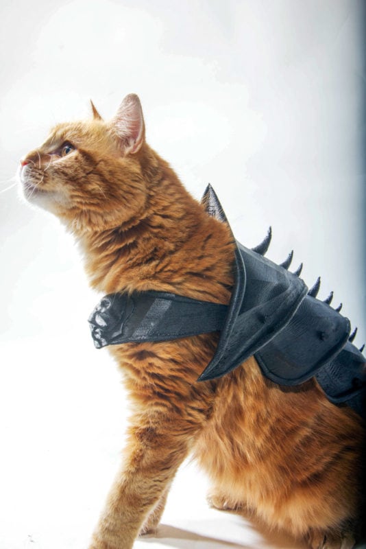 A cat armor that has been made with a 3D printer