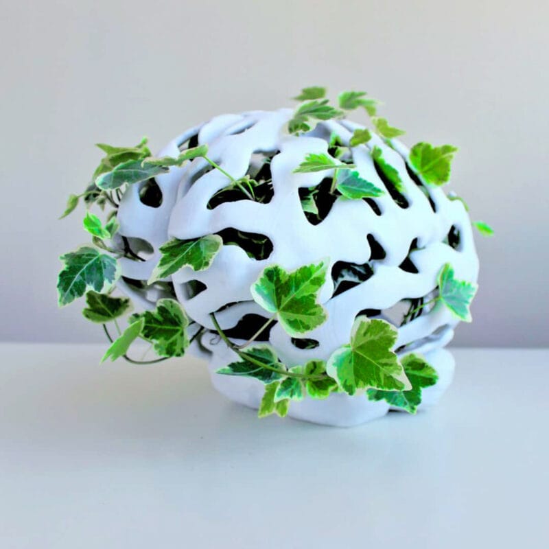A white planter with plant that was made with a 3D printer