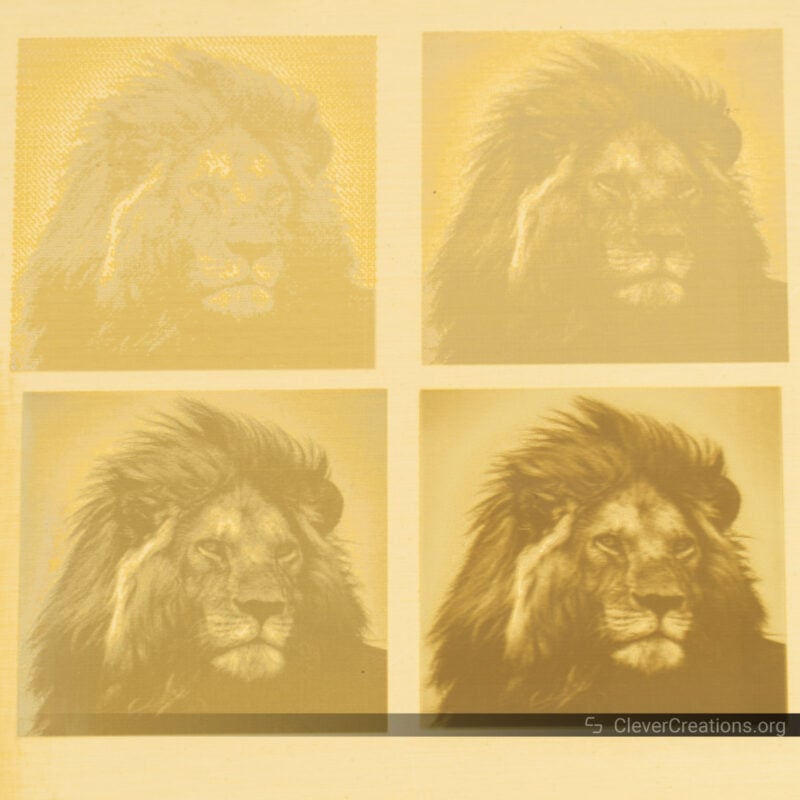 Four engravings of a lion on brass to compare the 1K, 2K, 4K, and 8K quality settings on the LaserPecker 4.