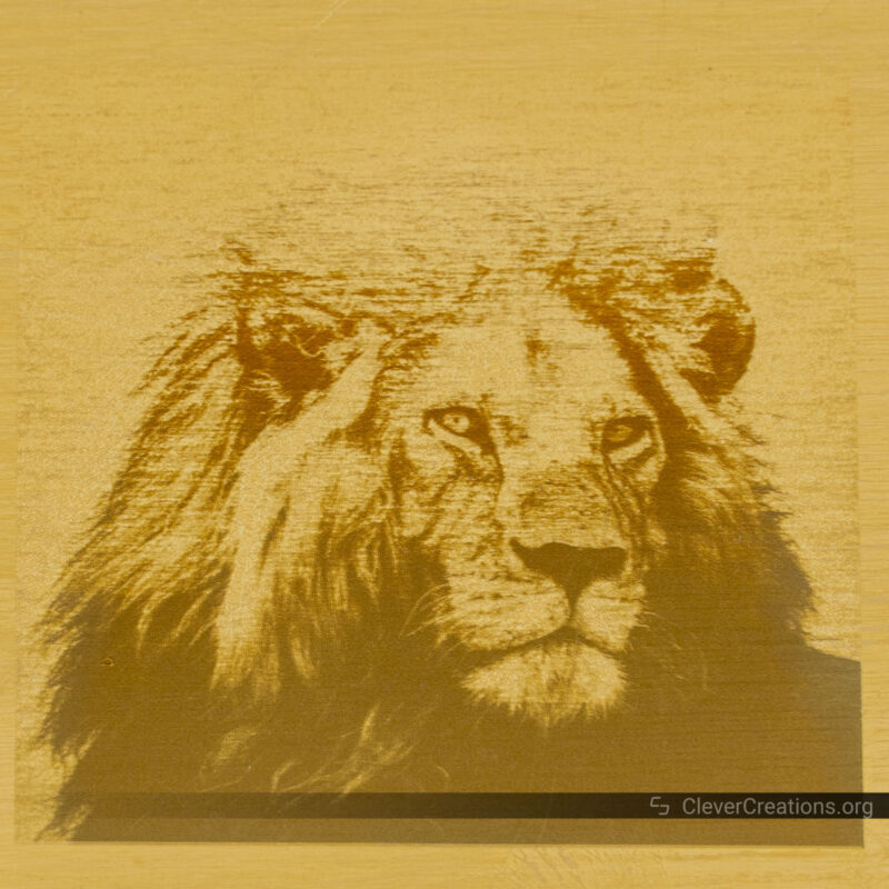 An engraving of a lion on brass with the top faded out because the laser was not warmed up.