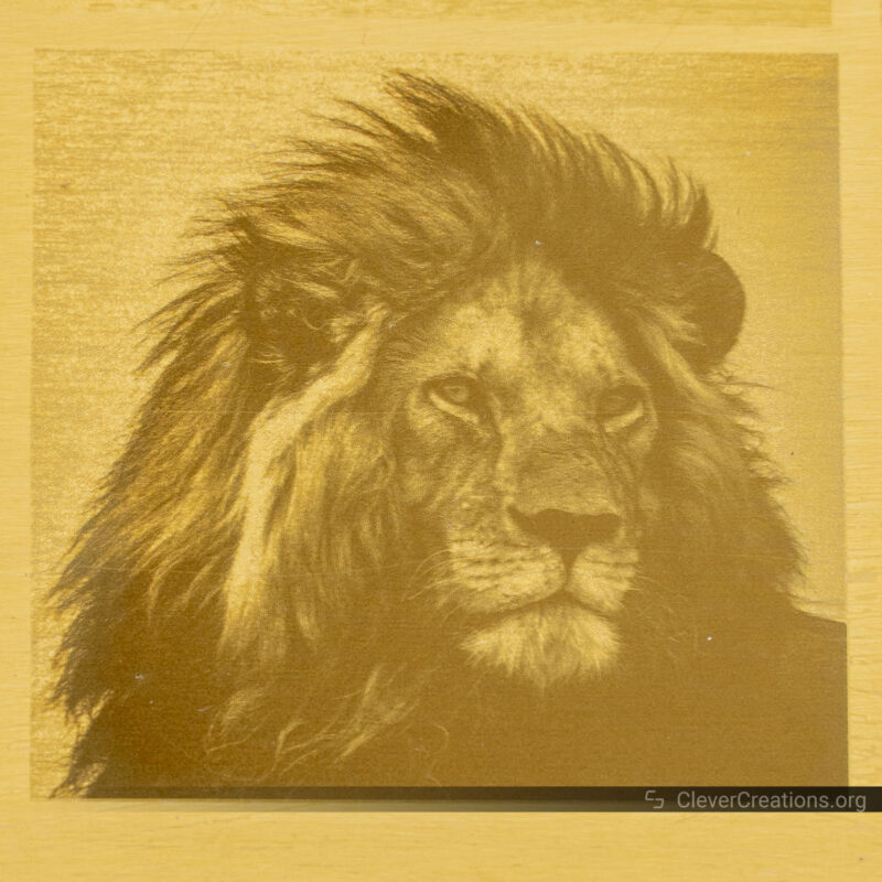A high-quality photo-like engraving of a lion on brass metal.