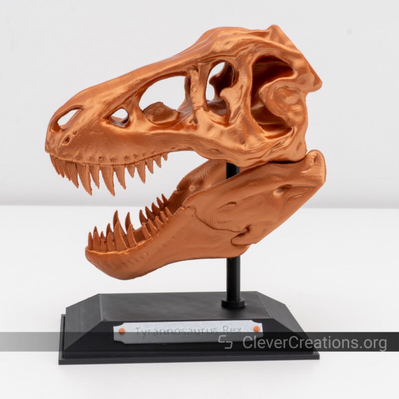 A large bronze 3D printed T-Rex skull on a base.